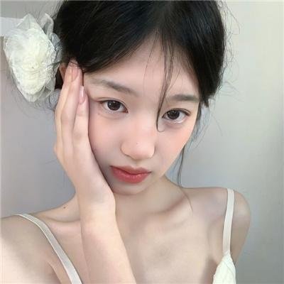 哈兰·科本的庇护所